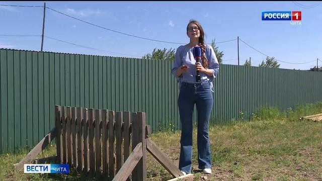 Служба и дружба: сотрудники кинологических подразделений МВД отмечают профессиональный праздник смотреть онлайн