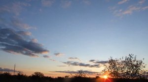 Фонограммы для обучения канареек 2021