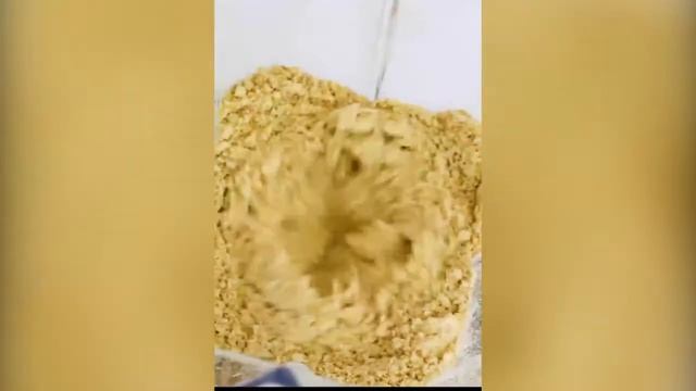 LICUADORA PARA RESTAURANTE EN EL SALVADOR| licuadora skymsen Maxiblender смотреть онлайн