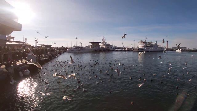 Чайки Сочи Морской Порт 2 смотреть онлайн