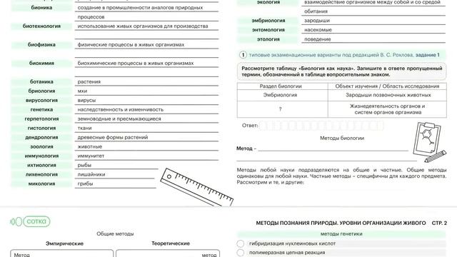 УДАЧНЫЕ ПОКУПКИ ДЛЯ ДОМА С WILDBERRIES смотреть онлайн