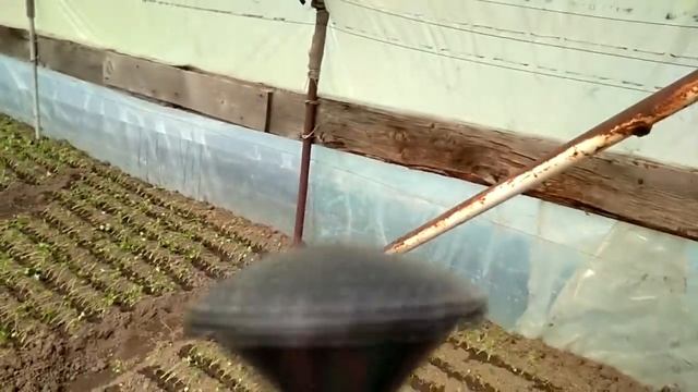 Выращивание рассады овощей в домашних теплицах смотреть онлайн