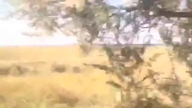 Крым.Бакальская коса смотреть онлайн