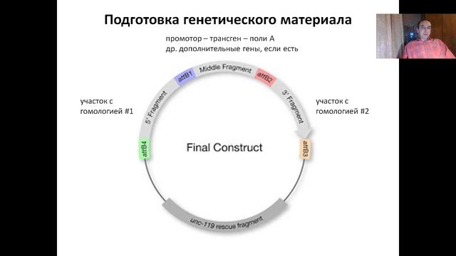 Лекция 17.  (2022) Генетически-модифицированные организмы.