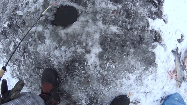 Ловим нельму зимой смотреть онлайн