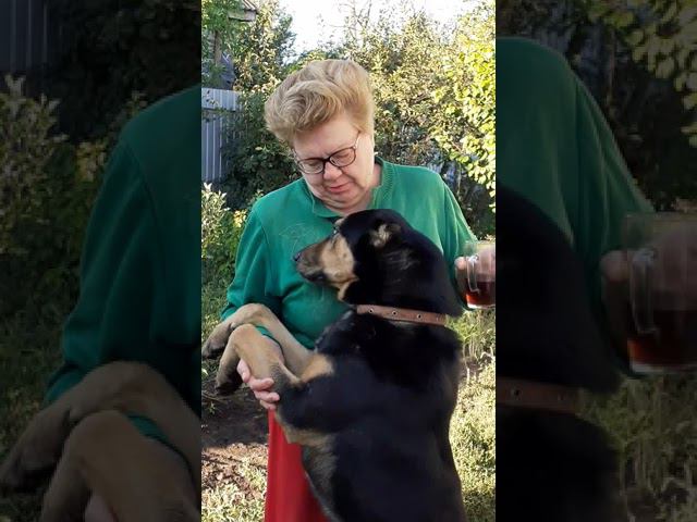 С ДНЕМ РОЖДЕНИЯ РОДНАЯ!!!! смотреть онлайн
