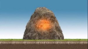 КОМПОСТ_Этапы изготовления компоста