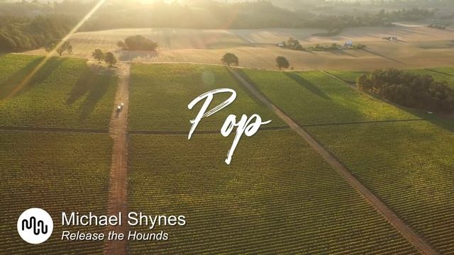Best Groovy Pop Music for Video [ Michael Shynes - Release the Hounds ] смотреть онлайн
