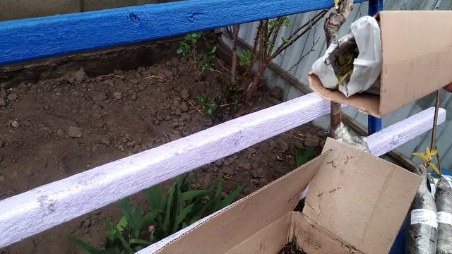 Розпаковка посилки від Агромаркету смотреть онлайн