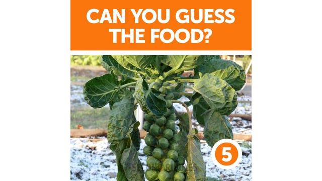 27 FUN BRAIN TEASERS WITH ANSWERS смотреть онлайн