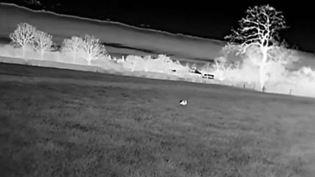 HIKVISION thermal 15mm смотреть онлайн
