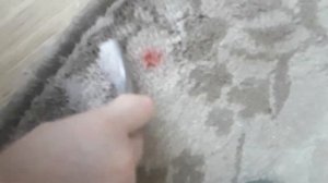 как отстирать помаду от ковра за 5 сек