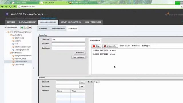 WebORB for Java 4.1 Overview - part 5 смотреть онлайн
