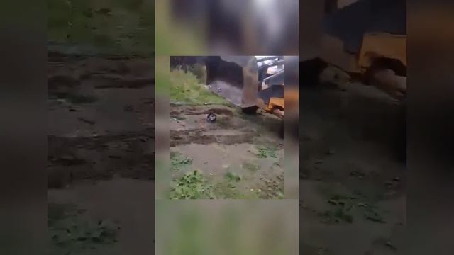 Тракторист Димон сделал из машины "лепешку" смотреть онлайн