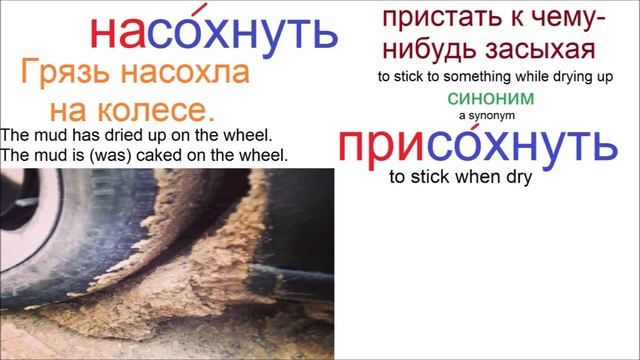 № 627 СОХНУТЬ: высохнуть, засохнуть, присохнуть, усохнуть...и другие смотреть онлайн