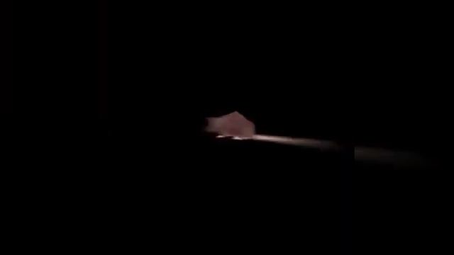 Крыса флексит 10 часов смотреть онлайн