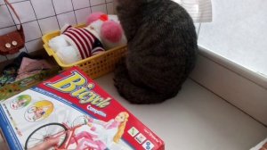 появилась уточка ЛАЛАФАНФАН? /как сделать шкаф для уточки Лалафанфан