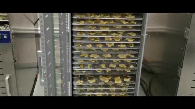 Дегидратор ABAT ШС‑32‑1‑01- Процесс сушки яблок смотреть онлайн