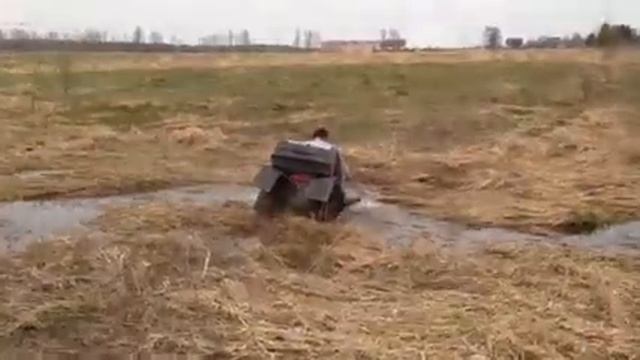 Плавки надел?!?! смотреть онлайн