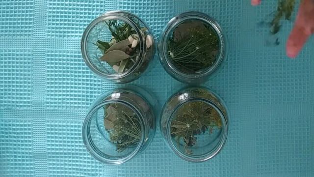 ЗАКРЫВАЕМ ОГУРЦЫ НА ЗИМУ! СТОЯТ БЕЗ ПОГРЕБА! смотреть онлайн