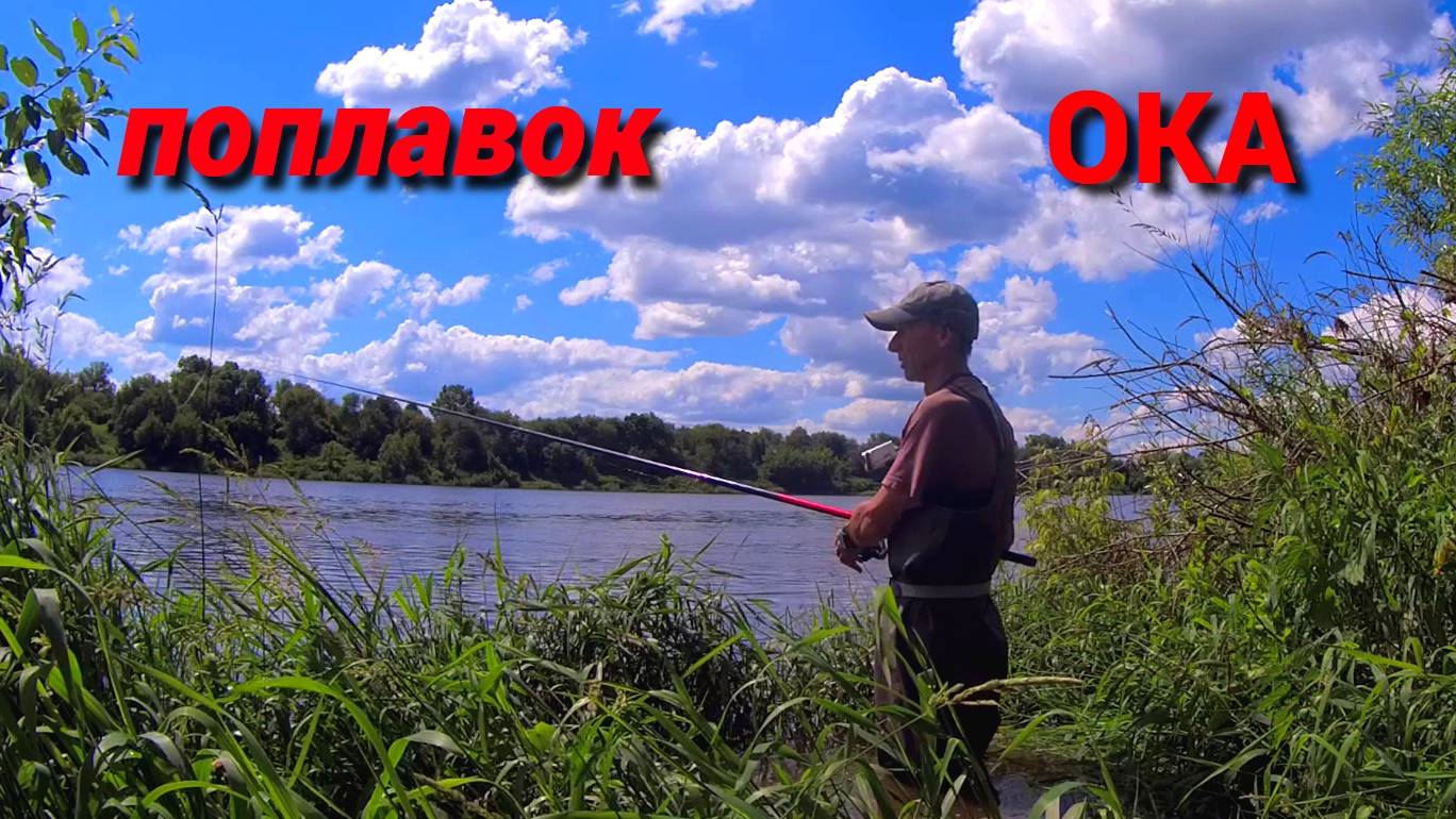 ХЛЕБНАЯ ПРИКОРМКА РАБОТАЕТ. РЫБАЛКА В ПРОВОДКУ на ОКЕ. смотреть онлайн