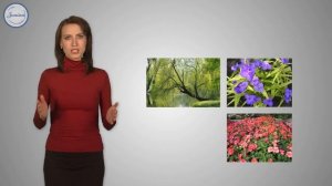 18  Биология 6 кл  Вегетативное размножение