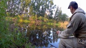 Карась выкладывает поплавок.Ловля карася летом,на пруду.