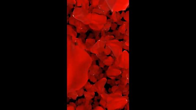 玫瑰花通道情人节背景 youtube смотреть онлайн