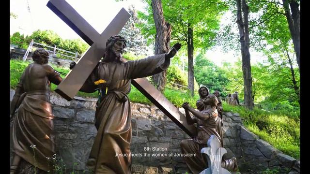 The way of the Cross at Notre Dame du Cap смотреть онлайн