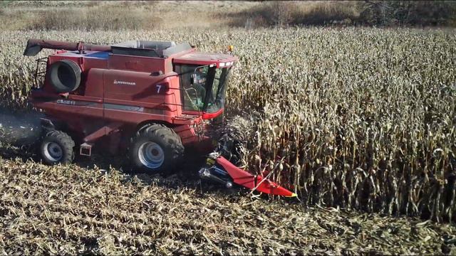 Case 2388 Уборка кукурузи 2021 МАІС ТВІСТ в ЧОРНОМУ СПИСКУ смотреть онлайн