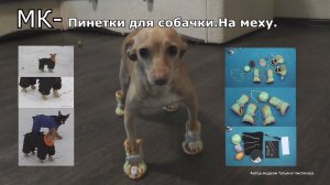 МК-Пинетки Вязаные Крючком для собачки.на меху.Схема.Описание.mp4