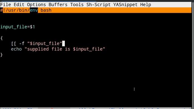 passing a file as argument to a bash script смотреть онлайн
