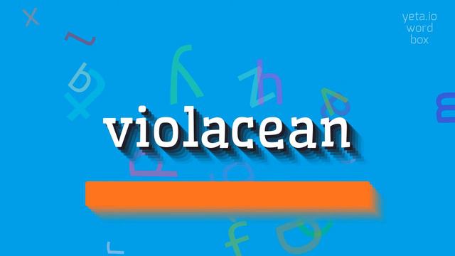 VIOLACEAN - HOW TO PRONOUNCE IT? #violacean смотреть онлайн