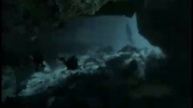 (CAVE DIVING) (BUCEO RIVIERA MAYA) Cenotes El Jardin del Eden смотреть онлайн