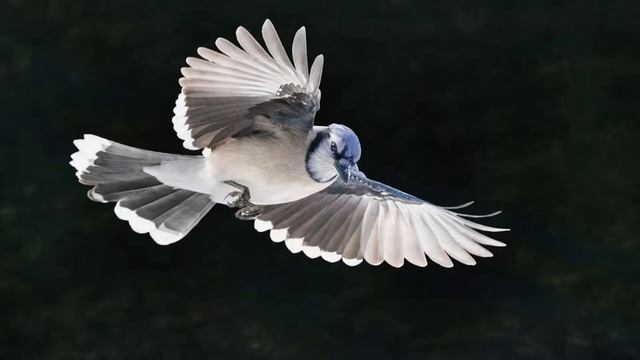 Кому мстит призрак? смотреть онлайн