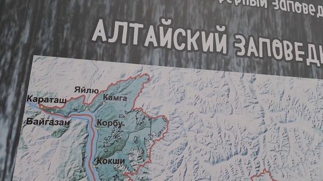Алтай, п. Яйлю. 25 июля 2022 г. смотреть онлайн