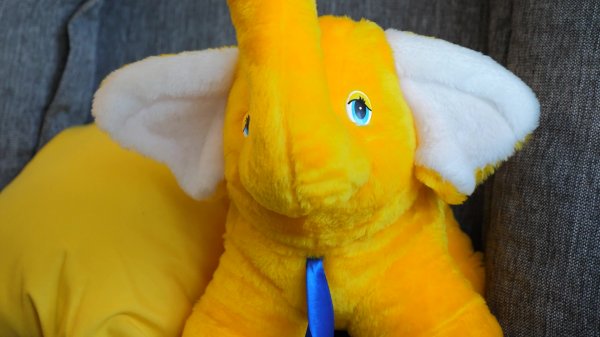 Алексей Аскурава 24/7 нарды