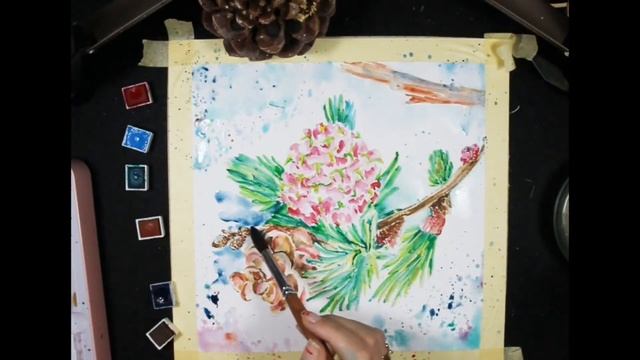 [LIVE]? Drawing and Painting Pinecone in Watercolor смотреть онлайн