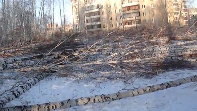 Беспредел в Челябинске-8. Когда все ушли... смотреть онлайн