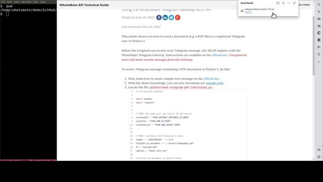 How to send a PDF document to a Telegram user in Python смотреть онлайн