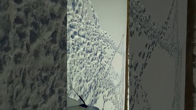Рыбалка Казахстан Джамбульская область2018 смотреть онлайн