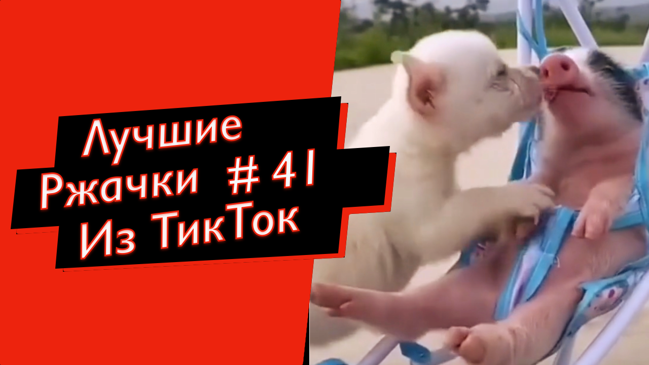 ПРИКОЛЫ ИЗ ТИК ТОК 10 МИНУТ ТИК ТОКА ТИК ТОК МЕМЫ РЖАЧКИ ИЗ ТИК ТОК ЛУЧШИЕ ПРИКОЛЫ 2021 смотреть онлайн