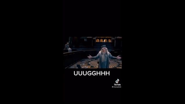 Harry Potter Parodies ⚡ @chanwills0 TikTok Compilation смотреть онлайн