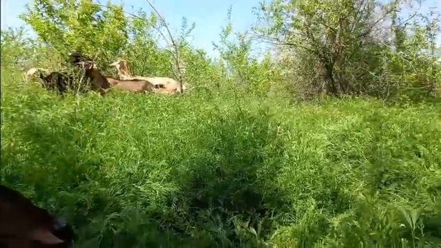 Лето - это маленькая жизнь смотреть онлайн