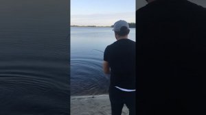 Самая большая рыба в мире😂😂😂😂