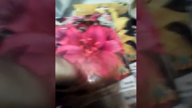 12 марта 2020 г. Лилия Азиатская Мапира смотреть онлайн