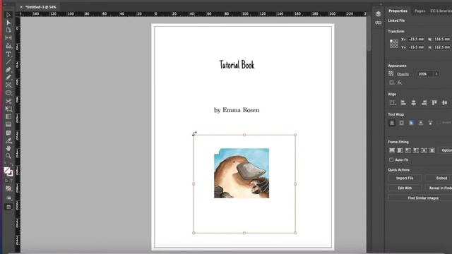 Formatting a Children's Picture Book using InDesign смотреть онлайн