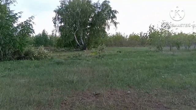 слаг 0.85 и микробуллпап крюгерган смотреть онлайн