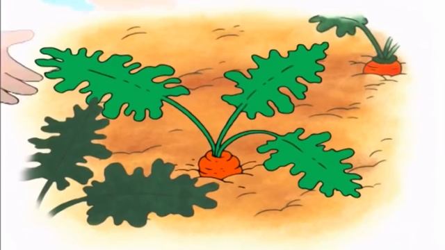 Caillou FRANÇAIS - PLUS QU'UNE HEURE COMPLÈTE DE CAILLOU S1 | Conte Pour Enfant