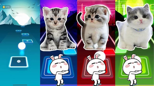 CUTE CATS Bongo Cat | Calm Down Rema | Lady Gaga Bloody Mary | Tiles Hop EDM Rush смотреть онлайн